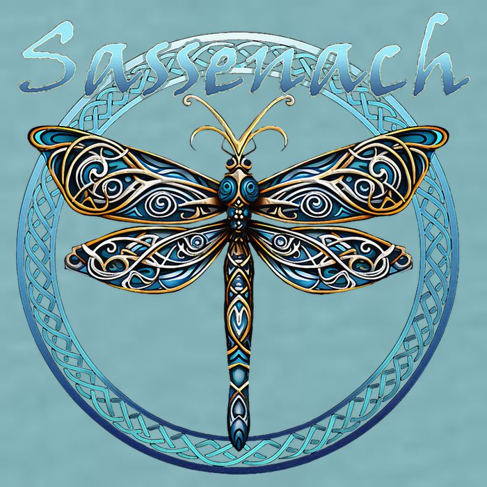 Sassenach Gaelic Dragonfly Scottish Outlander Sueded Cloud Jersey T-Shirt