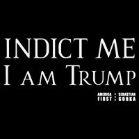Sebastian Gorka Drg Indict Me I Am Trump America First Cooling Performance Crew T-Shirt