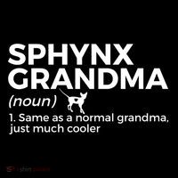 Sphynx Grandma Definition Funny Sphynx Cat Poster