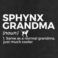 Sphynx Grandma Definition Funny Sphynx Cat 25L Jumbo Tote