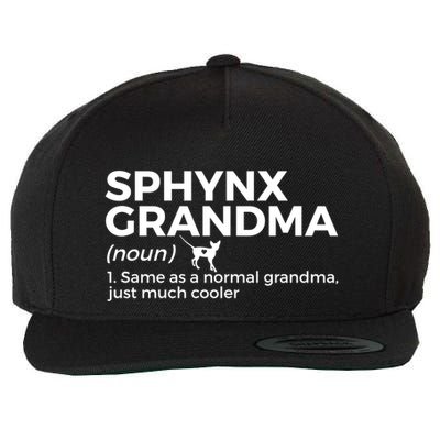 Sphynx Grandma Definition Funny Sphynx Cat Wool Snapback Cap