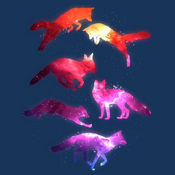 Space Galaxy Foxes Flatbill Hat