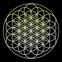 Sacred Geometry Flower Of Life Drawstring Bag