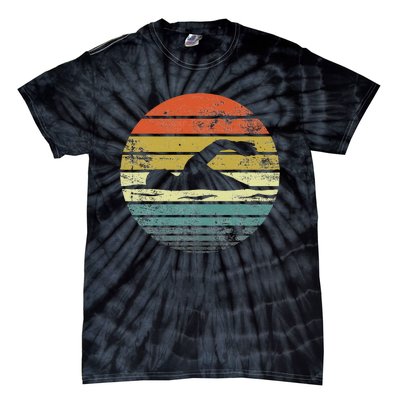 Swimmer Gifts Funny Retro Vintage Sunset Swim Coach Tie-Dye T-Shirt