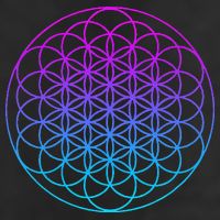 Sacred Geometry Flower Of Life Adult Drive Performance Visor