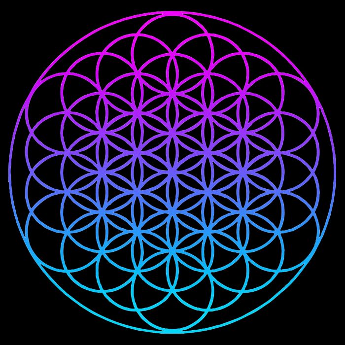 Sacred Geometry Flower Of Life Women's Crop Top Tee