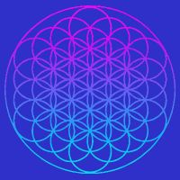 Sacred Geometry Flower Of Life Apron