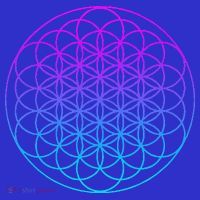 Sacred Geometry Flower Of Life Baby Bodysuit