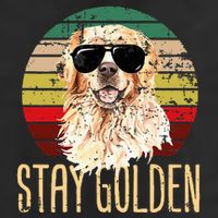 Stay Golden Funny Retro Golden Retriever Dog Breed Lover Adult Drive Performance Visor