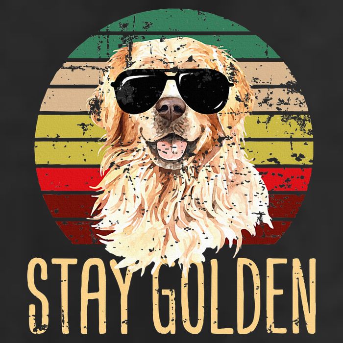 Stay Golden Funny Retro Golden Retriever Dog Breed Lover Adult Drive Performance Visor