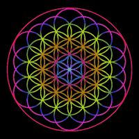 Sacred Geometry Flower Of Life Impact Tech Backpack