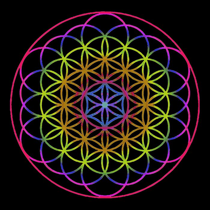 Sacred Geometry Flower Of Life Impact Tech Backpack