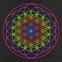 Sacred Geometry Flower Of Life Hat