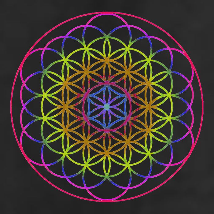 Sacred Geometry Flower Of Life Hat
