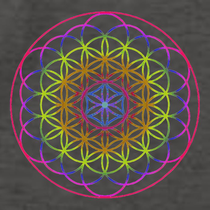Sacred Geometry Flower Of Life Vector Backpack