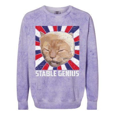 Stable Genius Funny Cat Meme President Colorblast Crewneck Sweatshirt