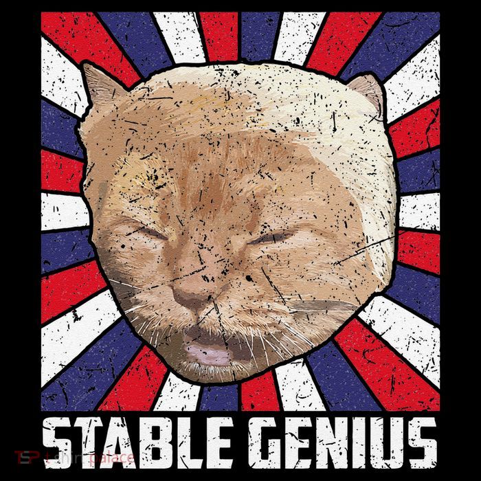 Stable Genius Funny Cat Meme President Wool Snapback Cap