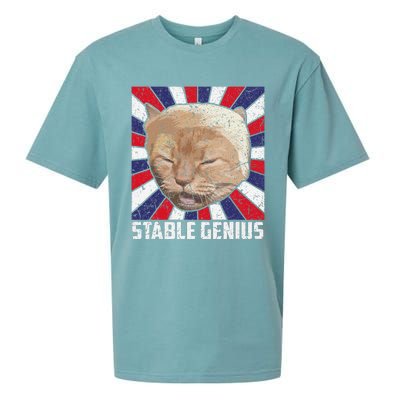 Stable Genius Funny Cat Meme President Sueded Cloud Jersey T-Shirt