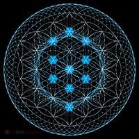 Sacred Geometry Flower Of Life With Kabbalah Tree Hoodie