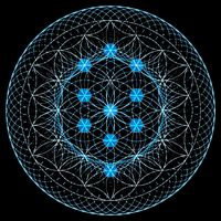 Sacred Geometry Flower Of Life With Kabbalah Tree T-Shirt