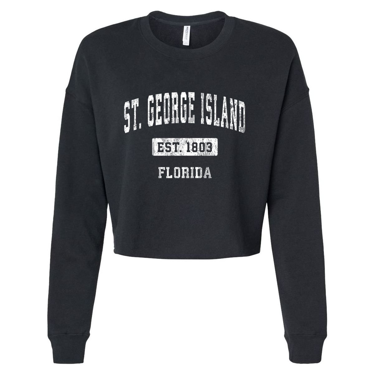 St. George Island Florida Fl Vintage Sports Established Cropped Pullover Crew