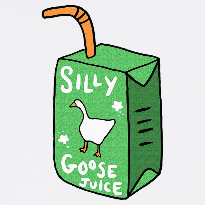 Silly Goose Juice Funny Goose Meme Bird Lover Wool Snapback Cap