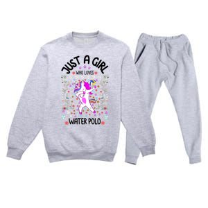 Sports Gift Just A Who Loves Water Polo Gift Premium Crewneck Sweatsuit Set