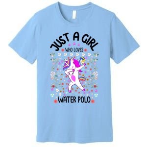 Sports Gift Just A Who Loves Water Polo Gift Premium T-Shirt