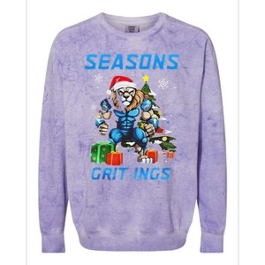 Seasons Gritings Lions Christmas Funny Christmas 2024 Colorblast Crewneck Sweatshirt