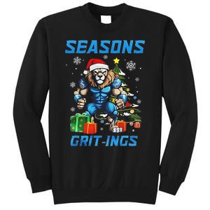 Seasons Gritings Lions Christmas Funny Christmas 2024 Sweatshirt