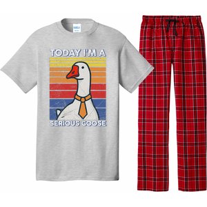 Serious Goose Lover Funny Goose Design Pajama Set