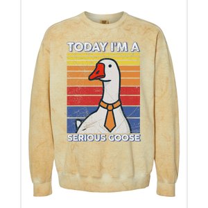 Serious Goose Lover Funny Goose Design Colorblast Crewneck Sweatshirt