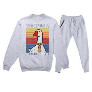 Serious Goose Lover Funny Goose Design Premium Crewneck Sweatsuit Set