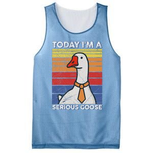 Serious Goose Lover Funny Goose Design Mesh Reversible Basketball Jersey Tank