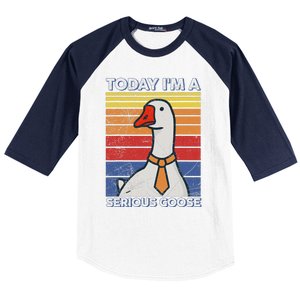 Serious Goose Lover Funny Goose Design Baseball Sleeve Shirt