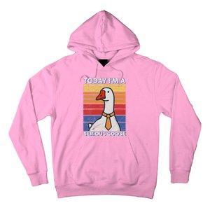 Serious Goose Lover Funny Goose Design Hoodie