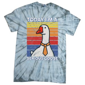 Serious Goose Lover Funny Goose Design Tie-Dye T-Shirt