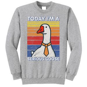 Serious Goose Lover Funny Goose Design Sweatshirt