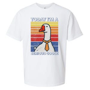 Serious Goose Lover Funny Goose Design Sueded Cloud Jersey T-Shirt