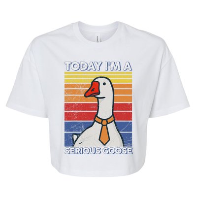 Serious Goose Lover Funny Goose Design Bella+Canvas Jersey Crop Tee