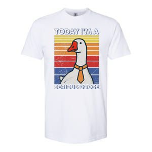 Serious Goose Lover Funny Goose Design Softstyle CVC T-Shirt