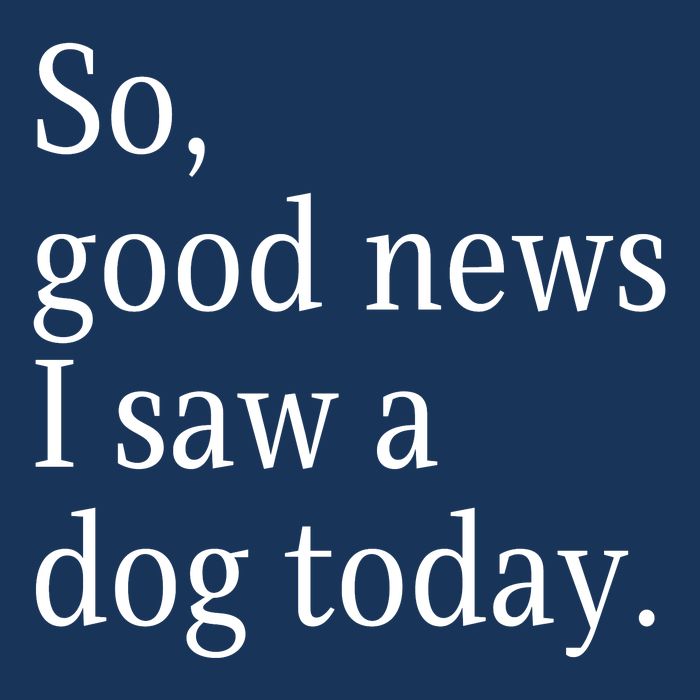 So Good News I Saw A Dog Today Funny Christmas Sayings Hoodie