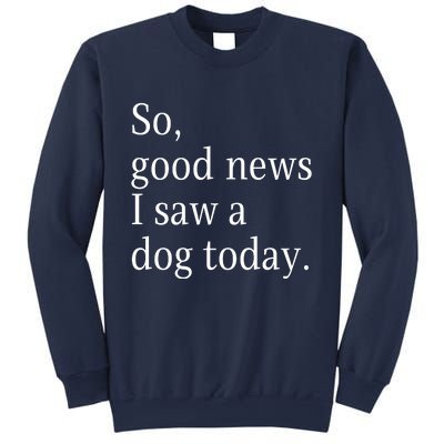 So Good News I Saw A Dog Today Funny Christmas Sayings Sweatshirt