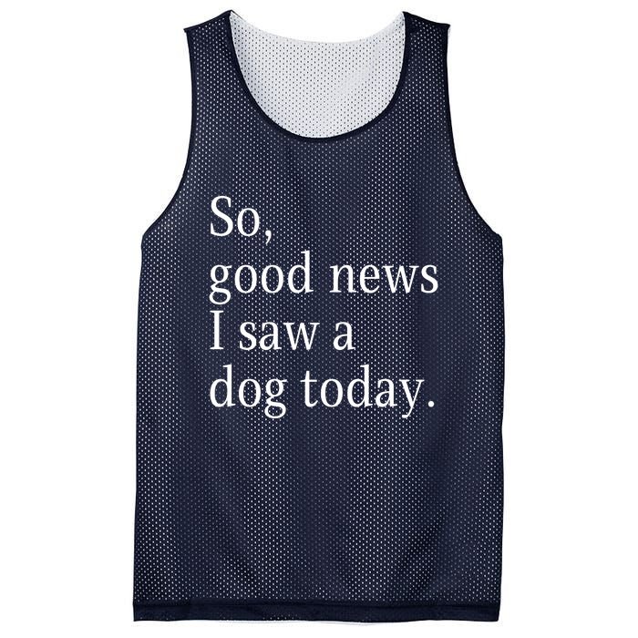 So Good News I Saw A Dog Today Funny Christmas Sayings Mesh Reversible Basketball Jersey Tank