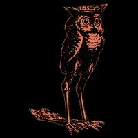 Stolas Goetic Owl Demon Prince Sustainable Bucket Hat