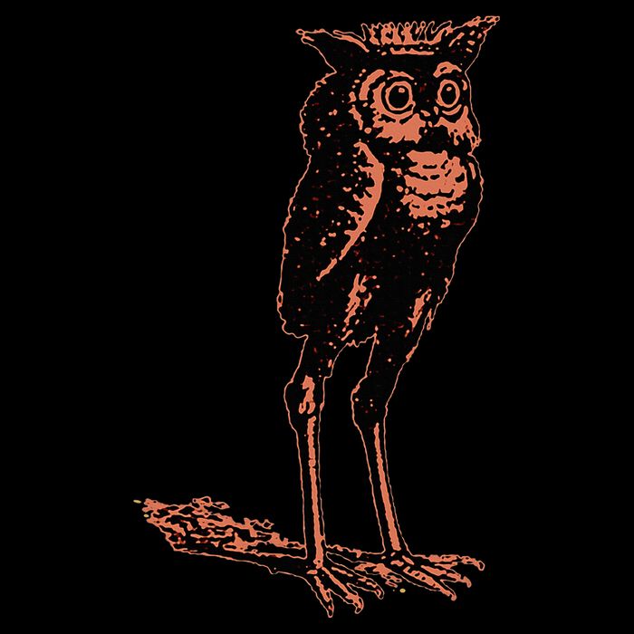 Stolas Goetic Owl Demon Prince Women's Perfect Tri Rocker Tank