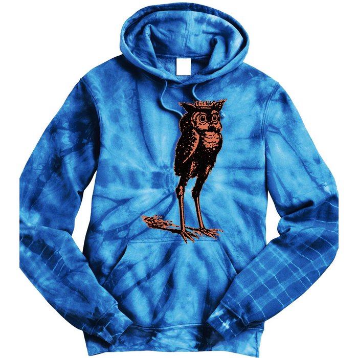 Stolas Goetic Owl Demon Prince Tie Dye Hoodie