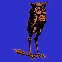 Stolas Goetic Owl Demon Prince Kids Sweatshirt