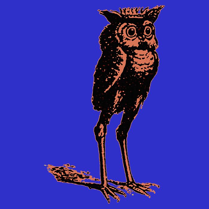 Stolas Goetic Owl Demon Prince Kids Sweatshirt
