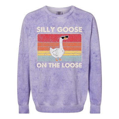 Silly Goose On The Loose Silly Goose University Colorblast Crewneck Sweatshirt